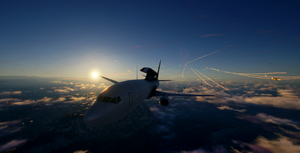 AWACSFowl.png